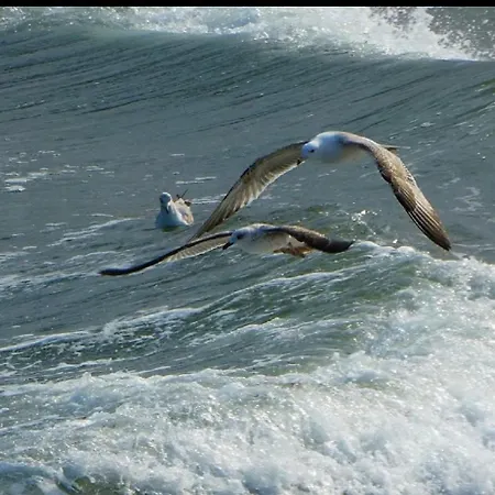 Sunrise Созопол